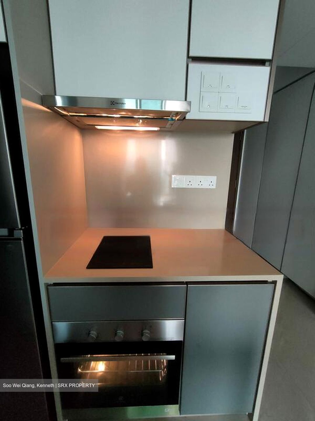 Normanton Park (D5), Apartment #469710171